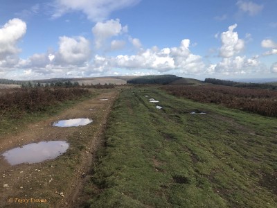 When you get to the ridgeway, to the right you are looking across the extent of the ridgeway towards Pontypool - if you followed the ridgeway you would eventually drop down into Upper Cwmbran or Pontypool.Wander into the ferns for a few metres to see the view north but in that direction you’re looking straight up towards Abergavenny and Brecon. The hillside directly in front of you that has been cleared of all its forestry is the Gwyddon and in the valley below is the Cwmcarn Forest Drive - you’ll get a better view of that as we go towards the Twmp.Look to the left and you’re looking straight at our main goal, Twmbarlwm, and you get a better idea of the size and extent of the scheduled monument.All the scarring of the landscape you see around you at this point is caused by illegal off-road motorcycles and 4x4s - but let’s ignore that for now and enjoy the 360° views.The route towards the Twmp is now relatively flat and the views north and south open up to reveal different aspects as you go along.