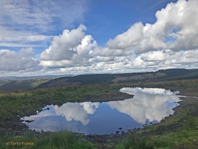 A couple of hundred metres before the Twmp, on the right is a new pond created by the commoners to provide water for their livestock and as part of their management responsibilities for this landscape

On to the kissing gate that marks the entrance to the Scheduled Monument - you surely have to spend a while here to take it in. NOTE: Mountain bikers should not ride across the Twmp but should dismount and walk across - we need to minimise the erosive effect visitors have on this wonderful, historic monument.

Beyond the kissing gate at the base of the slope up to the Twmp is a set of rocks originally put there to stop vehicular access (yes, people used to try to drive their cars to the top) - currently they are not on the path as repair and archaeological work is being undertaken. Please do not to attempt to go straight up the steep embankment to the top but follow the obvious path to the left - make a point of looking down at the rocks forming the path many contain fern-like fossils in them.