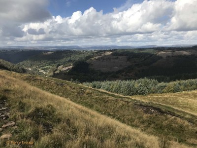View from the northern edge of the bailey looking down into the Cwmcarn valley