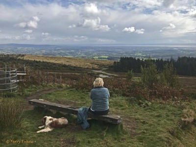 One last stop, to take in the view, on the way back down to the car park. The slope down is quite steep and can be slippery in wet weather - so you could go through the kissing gate on the left and follow the ORPA back down (it's only half a mile further, but easier on the knees).