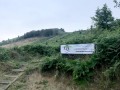 210802_twmbarlwm_dig_002