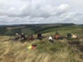 Archaeological investigation on Twmbarlwm, Risca, south Wales. performed by Clwyd Powys Archaeological Trust; organised by Cymdeithas Twmbarlwm Society, Funded by Cadw