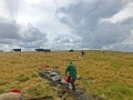 Archaeological investigation on Twmbarlwm, Risca, south Wales. performed by Clwyd Powys Archaeological Trust; organised by Cymdeithas Twmbarlwm Society, Funded by Cadw