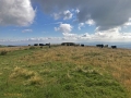 Archaeological investigation on Twmbarlwm, Risca, south Wales. performed by Clwyd Powys Archaeological Trust; organised by Cymdeithas Twmbarlwm Society, Funded by Cadw