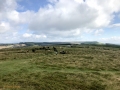 Archaeological investigation on Twmbarlwm, Risca, south Wales. performed by Clwyd Powys Archaeological Trust; organised by Cymdeithas Twmbarlwm Society, Funded by Cadw