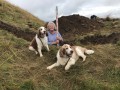 Archaeological investigation on Twmbarlwm, Risca, south Wales. performed by Clwyd Powys Archaeological Trust; organised by Cymdeithas Twmbarlwm Society, Funded by Cadw