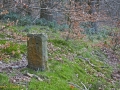 A walk around the Rhyswg, Cwmcarn, led by Rob Southall, in search of the Lost farmsteads