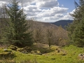 A walk around the Rhyswg, Cwmcarn, led by Rob Southall, in search of the Lost farmsteads