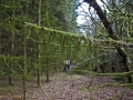 A walk around the Rhyswg, Cwmcarn, led by Rob Southall, in search of the Lost farmsteads