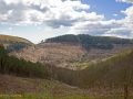 A walk around the Rhyswg, Cwmcarn, led by Rob Southall, in search of the Lost farmsteads