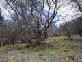 A walk around the Rhyswg, Cwmcarn, led by Rob Southall, in search of the Lost farmsteads