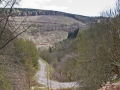 A walk around the Rhyswg, Cwmcarn, led by Rob Southall, in search of the Lost farmsteads