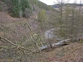 A walk around the Rhyswg, Cwmcarn, led by Rob Southall, in search of the Lost farmsteads