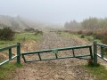 250426_twmbarlwm_010_w
