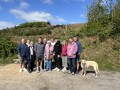 250504_twmbarlwm_005_w