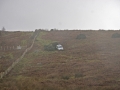 140125_tump_20