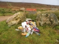 litterpick_rubbish_01