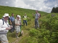 Walk from Twmbarlwm Car Park to ruins of Llanderfal chapel