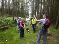 Walk from Twmbarlwm Car Park to ruins of Llanderfal chapel