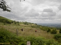 Walk from Twmbarlwm Car Park to ruins of Llanderfal chapel