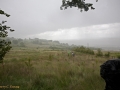 Walk from Twmbarlwm Car Park to ruins of Llanderfal chapel