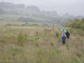 Walk from Twmbarlwm Car Park to ruins of Llanderfal chapel