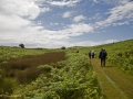 Walk from Twmbarlwm Car Park to ruins of Llanderfal chapel