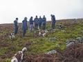 A walk around the scourings of Penyrheol with Les Murphy giving us an history of the area as we went.