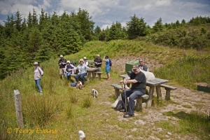 CTS walk to Pwll Tra (Pool of Avarice) 22nd June 2014 - led by Rob Southall