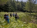 CTS walk to Pwll Tra (Pool of Avarice) 22nd June 2014 - led by Rob Southall