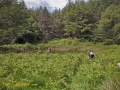 CTS walk to Pwll Tra (Pool of Avarice) 22nd June 2014 - led by Rob Southall