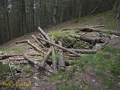 CTS walk to Pwll Tra (Pool of Avarice) 22nd June 2014 - led by Rob Southall