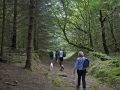 CTS walk to Pwll Tra (Pool of Avarice) 22nd June 2014 - led by Rob Southall