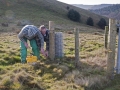 CTS Volunteer Workday on Twmbarlwm - 30th november 2014