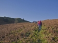 Cymdeithas Twmbarlwm Society - Xmas Xcess Walk 28/12/2014