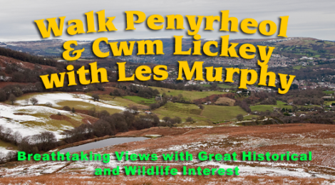 Penyrheol Walk and Talk