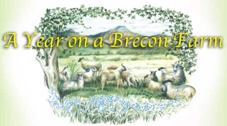 Brecon Farm