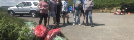 Litter Pick - 28/07/19