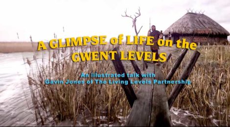 Living Levels Talk - 25/03/20