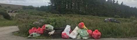 Litter Pick Day Goes Ahead Again