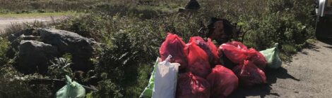 TWMBARLWM LITTER PICK 27/09/20