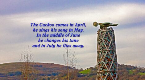 Risca Cuckoo