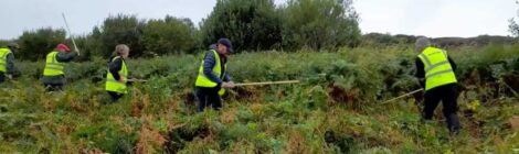 Bracken Bashing