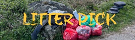 Litter Pick 04/05/25
