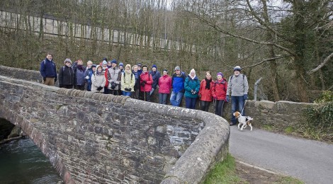 Hot Cross Bun Walk 2013 Gallery